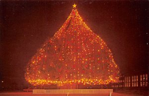 World's Largest Living Christmas Tree Wilmington, North Carolina NC