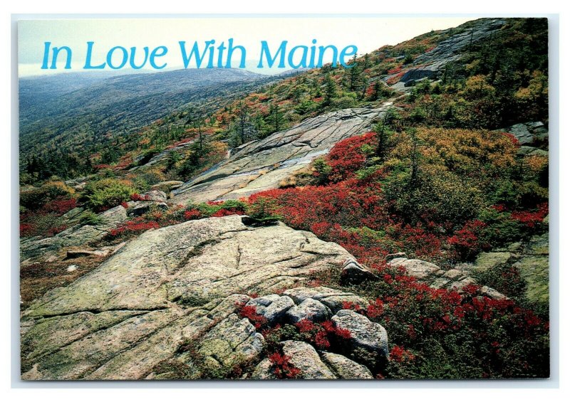 Postcard In Love With Maine Fall Atop Mt Cadillac, Maine ME K8