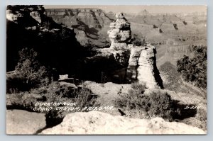 RPPC Duck on Rock Grand Canyon Arizona EKC 1940-1950 VNTG Postcard 1409