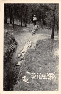 J35/ Black Hills South Dakota Postcard RPPC c1910 Petrified Tree Man 235