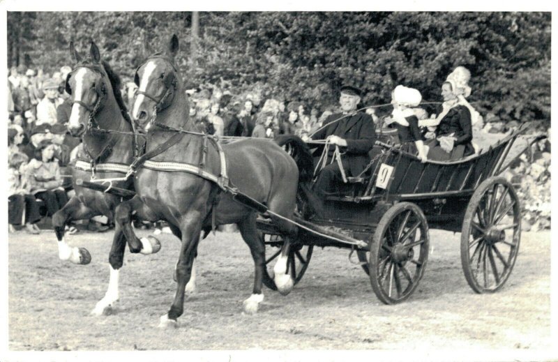 Hippique sport horses horse and wagon two span Levade 1975 RPPC 03.95