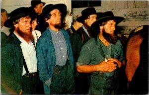 Pennsylvania Amish Country Amish Gentlemen At A Horse Auction