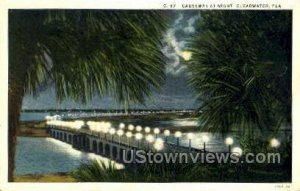 Causeway - Clearwater, Florida FL