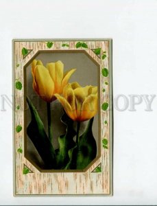 3163368 TULIPS Flowers russian POSTMARK of ELEMENTARY SCHOOL 