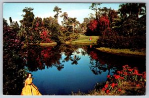 Blossom Time, Cypress Gardens, Winter Haven, Florida, Vintage Chrome Postcard