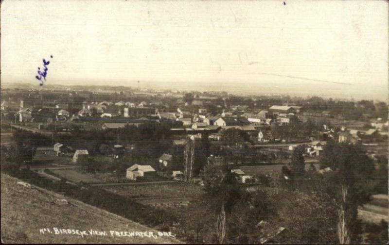 Freewater Oregon OR Birdseye View c1910 Real Photo Postcard