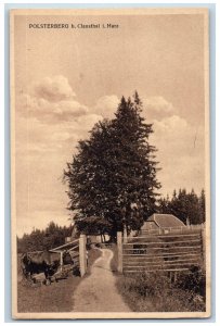 Lower Saxony Germany Postcard Clausthal in the Harz Polster Mountain c1910