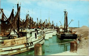 Postcard Texas Gulf of Mexico Shrimp Fishing Trawlers Dexter Press 1950s V2