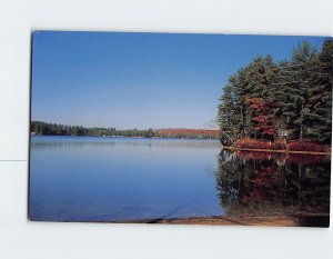 Postcard Little Ossippee Pond, Maine