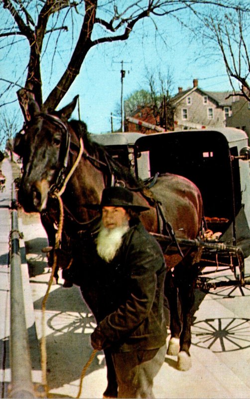 Ohio Amish Country Amish Man Hitching His Horse and Wagon In Front Of General...