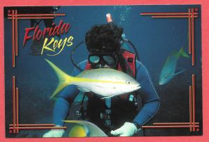 Florida Keys - Underwater Diving in Key Largo