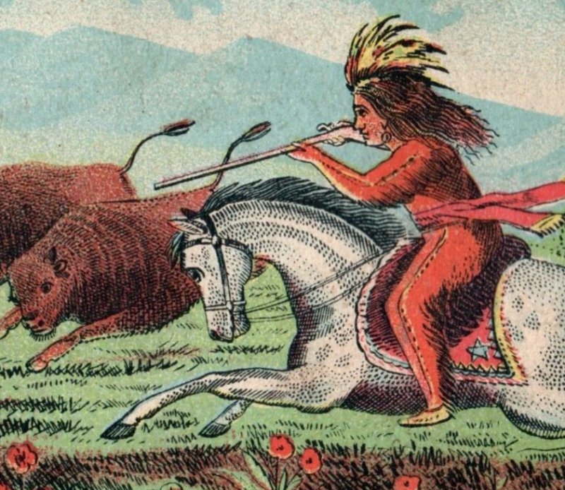 1870s Victorian Trade Card Native American Buffalo Hunting P152