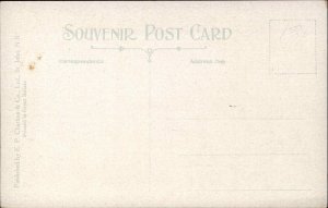 St John New Brunswick Bridge Vintage Postcard