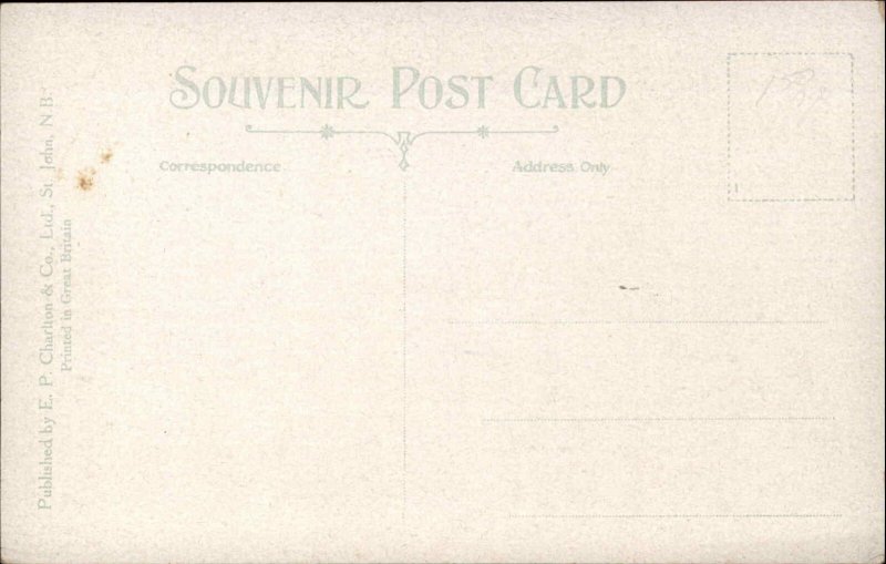 St John New Brunswick Bridge Vintage Postcard