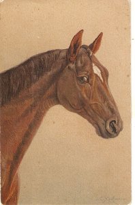 J.C. Kaufman.n. A Horse's Head Old vintage Swiss artist signed postcard