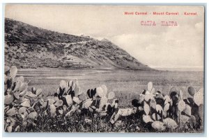 c1910 Mount Carmel Cactus View Haifa Israel Unposted Antique Postcard