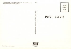 Greetings From the Ro Grande Valley