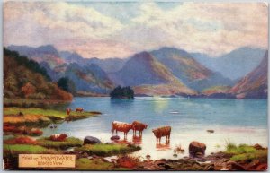 Head of Derwentwater Ruskins View Rocks & Crags Attraction England Postcard