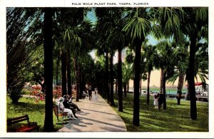 Florida Tampa Plant Park Palm Walk