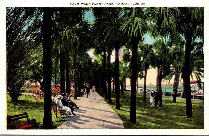 Florida Tampa Plant Park Palm Walk
