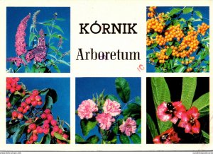 Poland Kornik Arboretum Native Flowers 1987