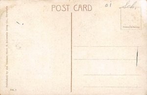 Royal Poinciana Tree Bermuda Postcard