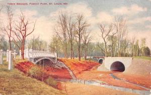 ST LOUIS, MO Missouri     THREE BRIDGE~FOREST PARK      1907 Postcard