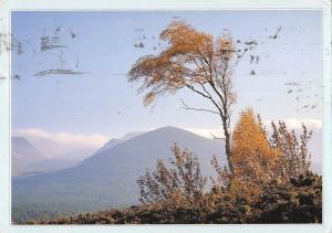 B102246 lairig ghru pass cairngorms inverness shire   scotland