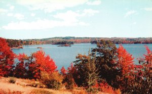 Postcard Lake St. George Showing Pinola Point From Scenic Turnout Liberty Maine