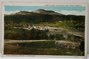 Vermont, Camel's Hump (Couching Lion) North Central Looking East Postcard D11