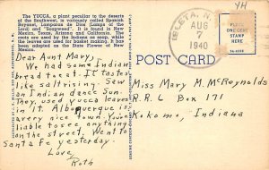 Yucca State Flower, New Mexico NM s 