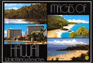 Hawaii, World Famous Beach - 