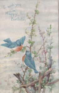 Happy Birthday Beautiful Birds
