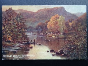 BETTWS Y COED Salmon Fishing on River Conway c1911 Postcard by Raphael Tuck 9328