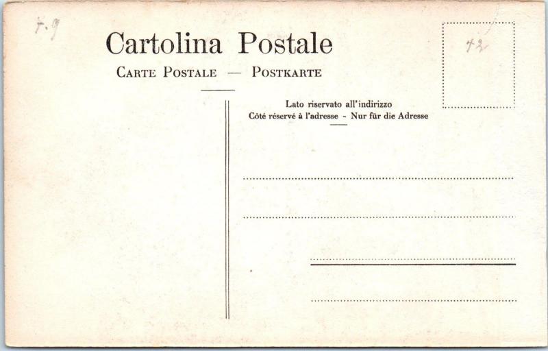 BELLINZONA, Switzerland   CASTLE & VILLAGE   c1910s  Postcard