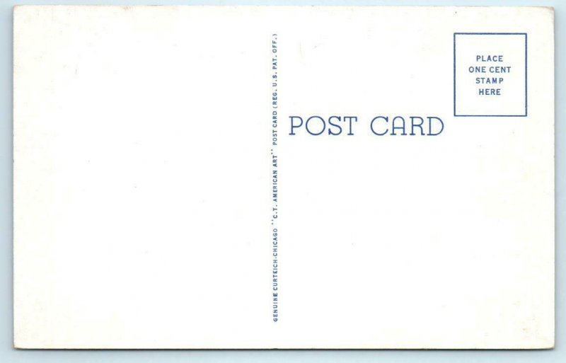 ALTON, Missouri MO ~ GREER SPRING on Highway 19  Oregon County c1940s Postcard