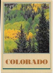 US Colorado Mountains. Mint card. Beautiful Colorado.