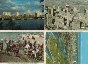 Chuckwagon Horse Racing Calgary Canada Map Skyline 4x Postcard s