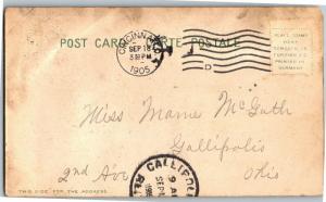 Zoological Garden Cincinnati Ohio, Monkeys Multi View c1905 Vintage Postcard N11