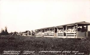 Toonerville Trolley, Newberry, Michigan, Early Real Photo Postcard, unused