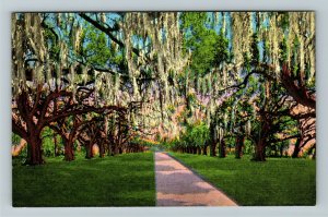 New Orleans LA- Louisiana, La Ronde Oaks, Versailles Plantation, Linen Postcard 