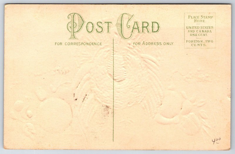 Thanksgiving~Turkey Struts In Meadow~Exaggerated Nuts & Fruit~Embossed~c1910