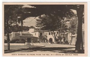 Biltmore Hotel Santa Barbara Grove of Trees California postcard