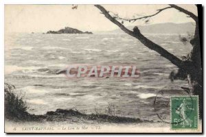 Old Postcard Saint Raphael The Sea Lion