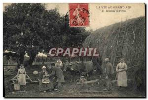 Old Postcard Folklore Life in the big air Oxen Interior TOP farm