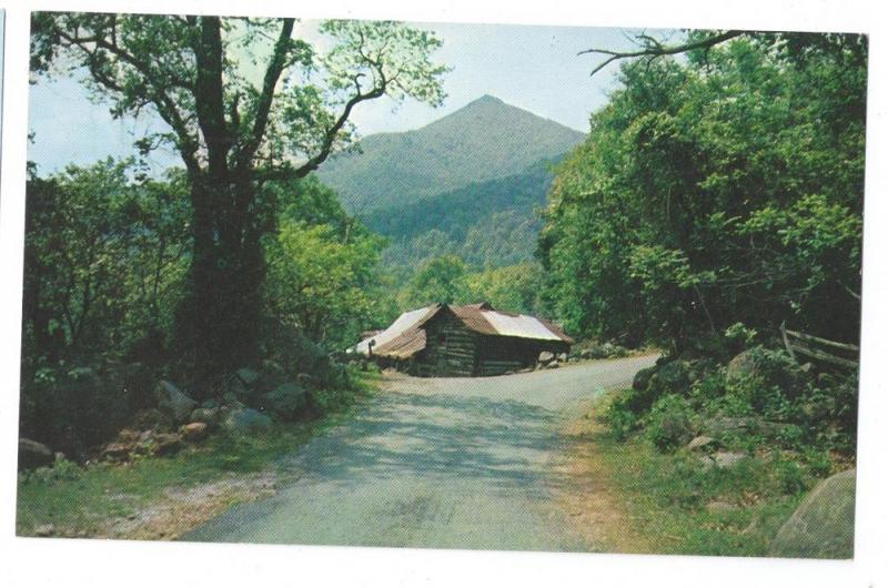 Blue Ridge Mountain Cabin Postcard