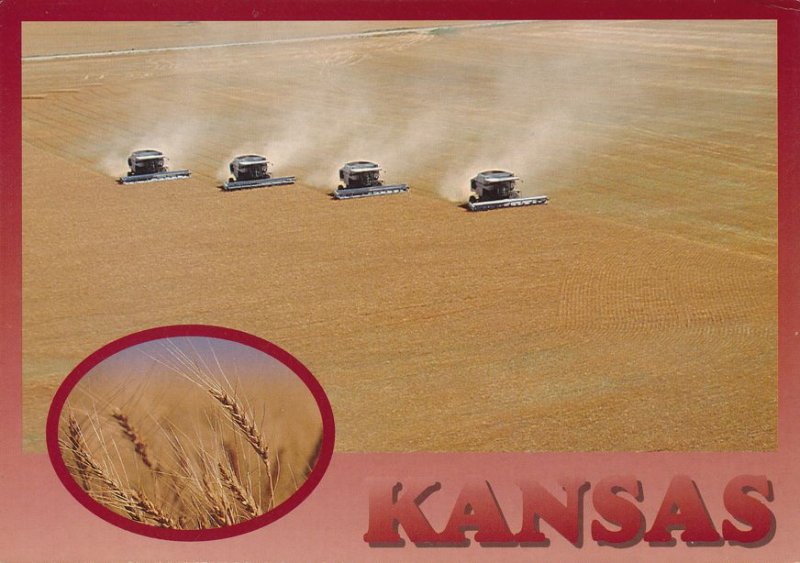 Commercial Wheat Harvesters - Golden Wheat Fields - Kansas