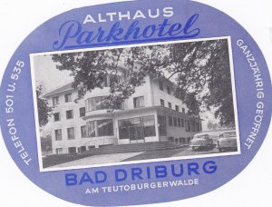 Germany Bad Driburg Althaus Hotel Vintage Luggage Label sk2552
