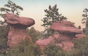 Colorado Colorado Spring Toad And Toadstool Garden Of The Gods Albertype