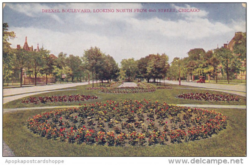 Illinois Chicago Drexel Boulevard Looking North Frm 46th Street Chicago